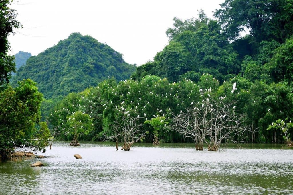 NINH BINH HIGHLIGHTS – A DAY OF LEGENDS & NATURE 3